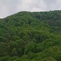 همخونه یا روزانه اجاره یا جهت انبار