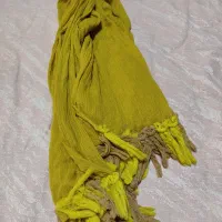 لباس وشال وکاپشن|لباس|شیراز, تاچارا|دیوار