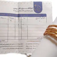 النگو طلا سایز 4