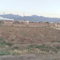 زمین زراعی و باغی