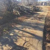 خرید چوب ودرخت|خدمات باغبانی و درختکاری|خرم‌آباد, |دیوار