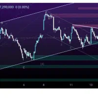 اموزش معامله گری طلا و ویترینداری