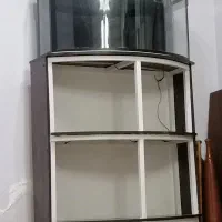 آکواریوم بامیز