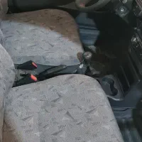 پراید مدل۸۷|خودرو سواری و وانت|یزد, |دیوار