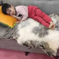 فروش انواع پوست گوسفند (دباغی شده)|صنایع دستی و سایر لوازم تزئینی|تهران, تهرانپارس غربی|دیوار