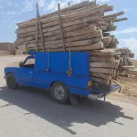 خریدار چوب ترو خشک