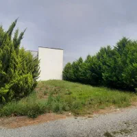 ۲۰۰مترزمین بافت جاده جنگلی/مدارک آماده انتقال