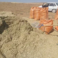کاه لوبیا|لوازم جانبی حیوانات|دوتپه, |دیوار