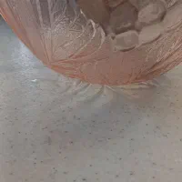 میوه خوری اصل ترک
