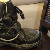 بت زمستانی.