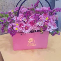 دعوت از چند خانم برای تیم تولید محتوا