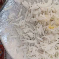 خورده برنج وبرنج کامفیروزی ارگانیک|خوردنی و آشامیدنی|کر, |دیوار