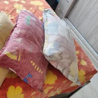 ۲عدد بالشت پر مرغوب