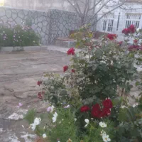 اجاره روزانه/هفتگی/ماهانه آپارتمان ۱۵۰ متری|اجارهٔ کوتاه‌مدت آپارتمان و سوئیت|خلخال, |دیوار