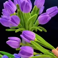 هدیه خاص موندگار|گل مصنوعی|مشهد, سرافرازان|دیوار