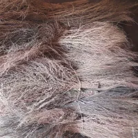 جارو سوفوری و پلاستیکی|لوازم نظافت|قزوین, |دیوار