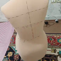 مایکن سوزن خور و اتو خور