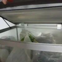 اکواریوم|ماهی|کرمانشاه, |دیوار