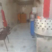 فروش مرغ فروشی