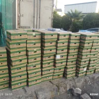 استخدام فروشنده حضوری.ویزیتور|استخدام بازاریابی و فروش|رباط‌کریم, رباط‌کریم|دیوار