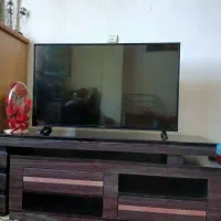 تلوزیون