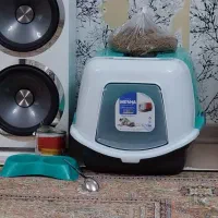 واگذاری گربه خانگی