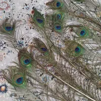 پر طاووس طبیعی خشک شده برای تزئین گلدان