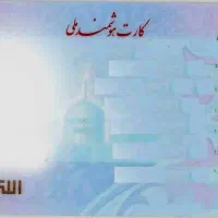 جا کارتی قهوه ایی به نام مهسا سرلک گمشده