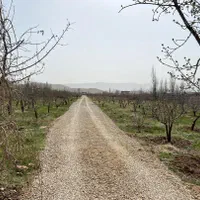 ۲۰۰متر باغ کنتوربرق+آب داخل ملک دماوند جابان شهرکی|فروش زمین و ملک کلنگی|دماوند, دماوند|دیوار