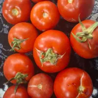 جذب نیرو کار