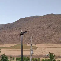 دامداری