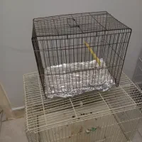 قفس پرنده