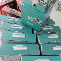 پک کامل ۲ عددی دوربین دید در شب رنگی گارانتی معتبر