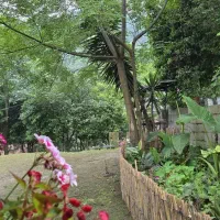 ویلا اجاره روزانه