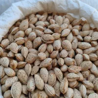 فروش محب ایرانی