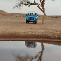 لندورمدل 1360