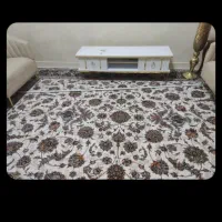 زیر تلوزیون