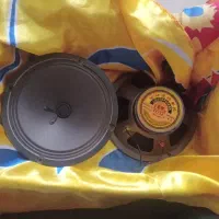 یک جفت باندظبط وپخش اورینجال