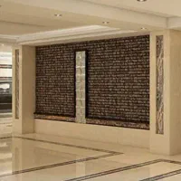 هم خانه خانم