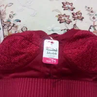 سوتین|لباس|اردبیل, |دیوار