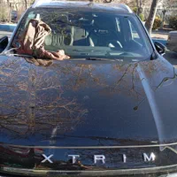 دودی/ترمیم/پولیش شیشه اتومبیل سامان|خدمات موتور و ماشین|تبریز, |دیوار