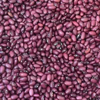 حبوبات|عمده‌فروشی|قم, باجک یک|دیوار