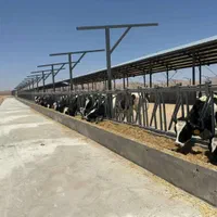 راننده تراکتور