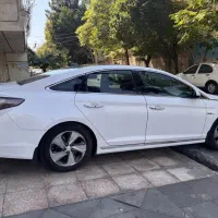 Lf gls+ بیرنگ|خودرو سواری و وانت|تهران, درختی|دیوار