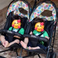 کالسکه دو قلو عصایی|کالسکه و لوازم جانبی|مسجد سلیمان, |دیوار