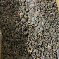 پخش عمده کشمش و مویز ( ارمی )