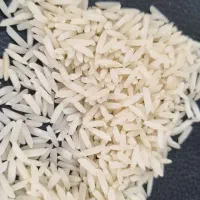 برنج شیرودی و هاشمی گیلان آستانه