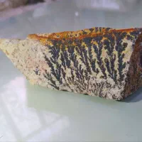 سنگ شجر فسیلی دندریتی نمونه خاص وکمیاب