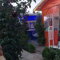 همکار خانم در آشپزخانه کافه