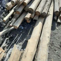 فروش چوب خشک چهار متری|مصالح و تجهیزات ساختمان|موچش, |دیوار